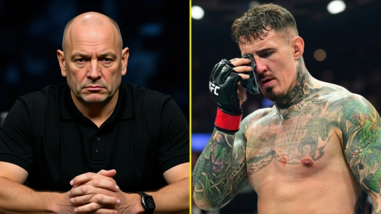 Looking Ahead: Potential Rematch and Upcoming Fight Cards
